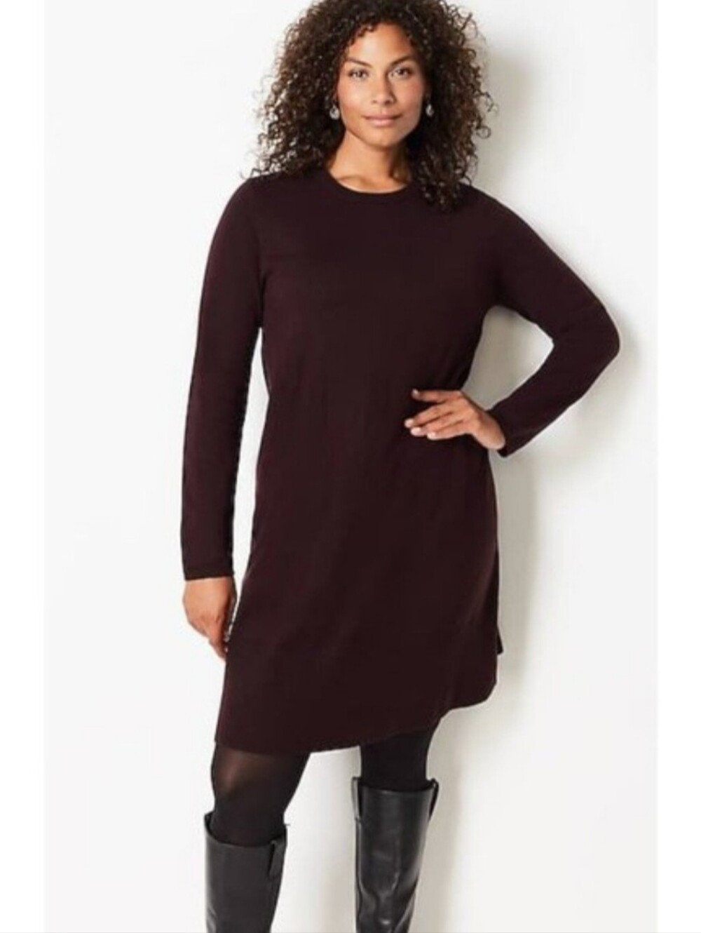NWT J Jill Knit Long Sleeve Sweater Dress A Line In Fig Purple